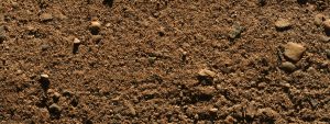 Dirtglue Soil Bonding