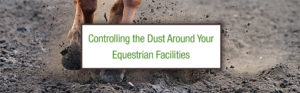 dust control for equestrian facilities